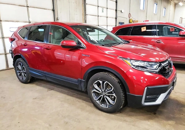 Honda CR-V cena 70000 przebieg: 57966, rok produkcji 2021 z Lipsk małe 56